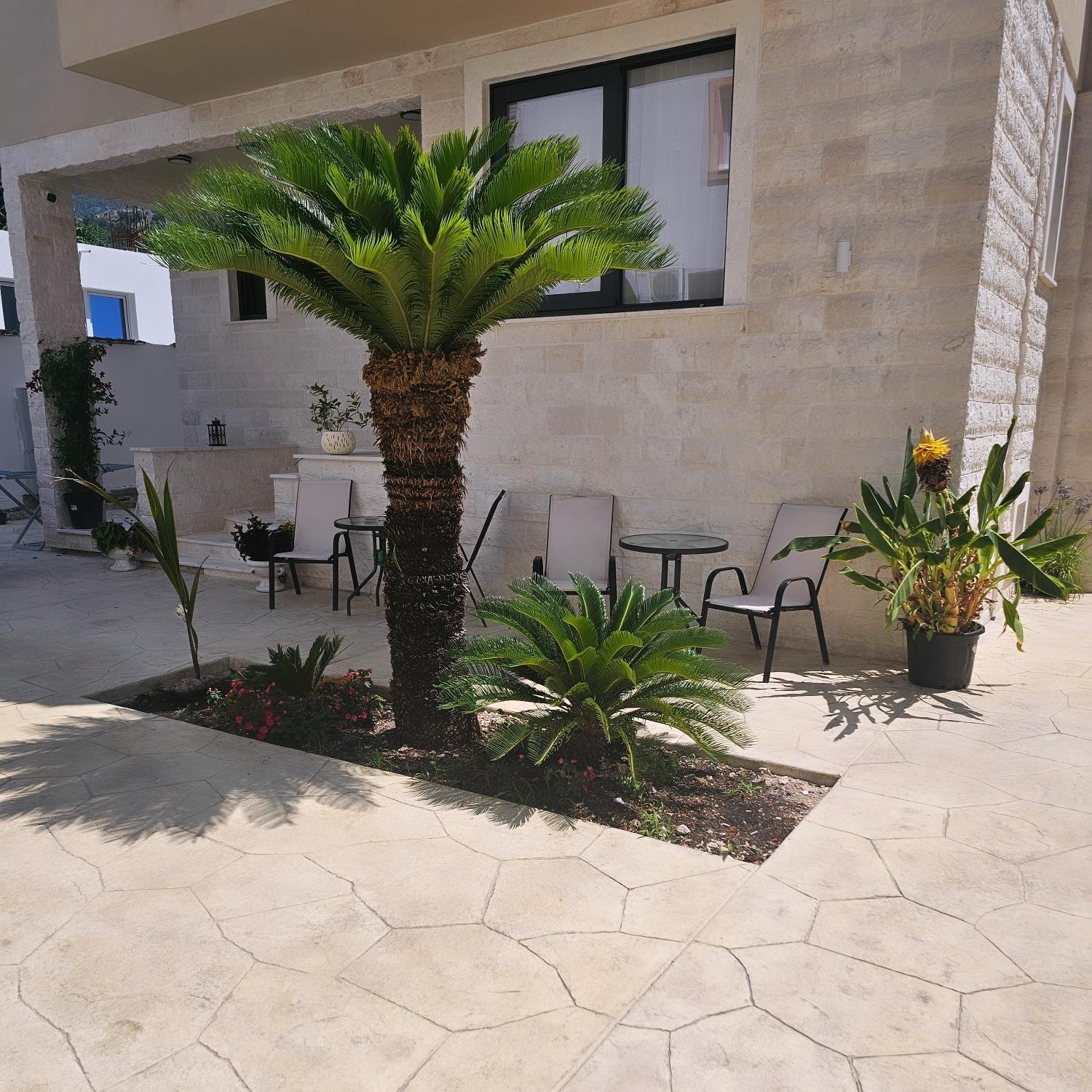 La Vida Apartments Budva Ngoại thất bức ảnh